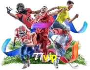 sport 77vip